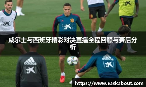 威尔士与西班牙精彩对决直播全程回顾与赛后分析